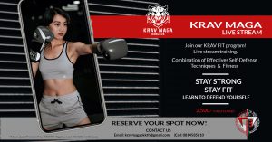 Read more about the article Krav Maga Live Stream