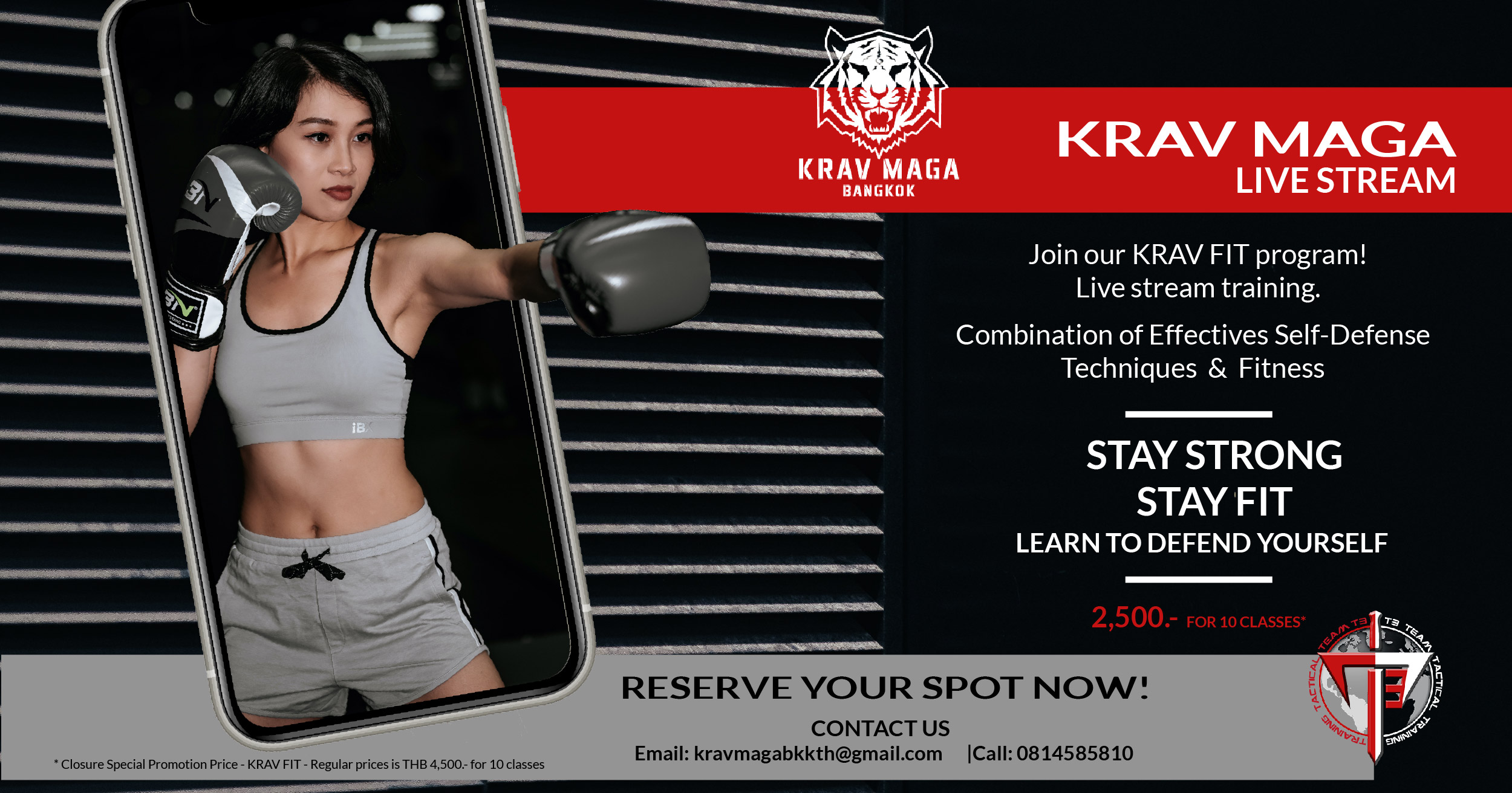 You are currently viewing Krav Maga Live Stream