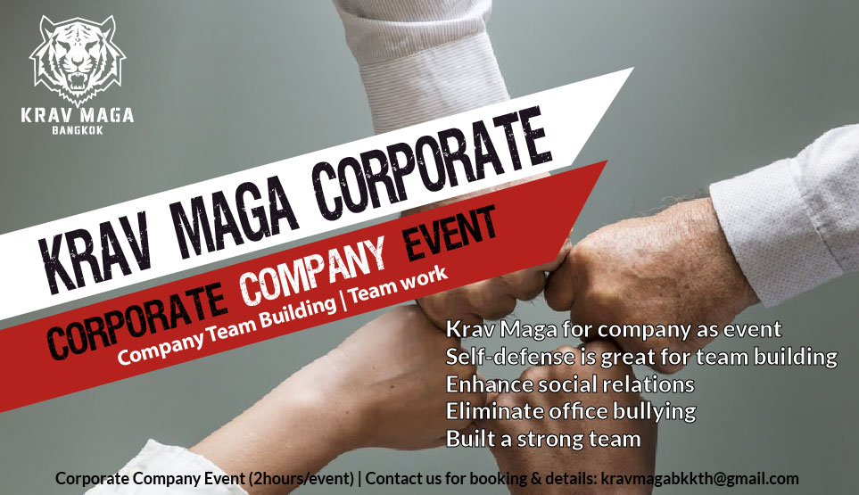 Read more about the article Krav Maga as Corporate Team Building Event