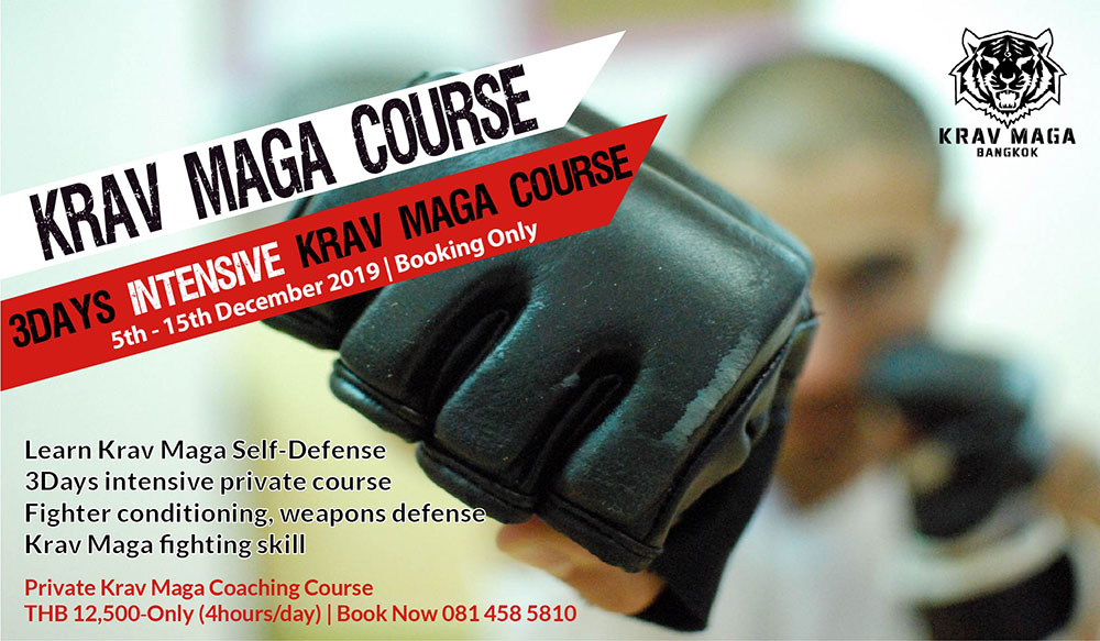 You are currently viewing Krav Maga Intensive Course