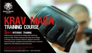 Read more about the article Intensive Krav Maga Training Course