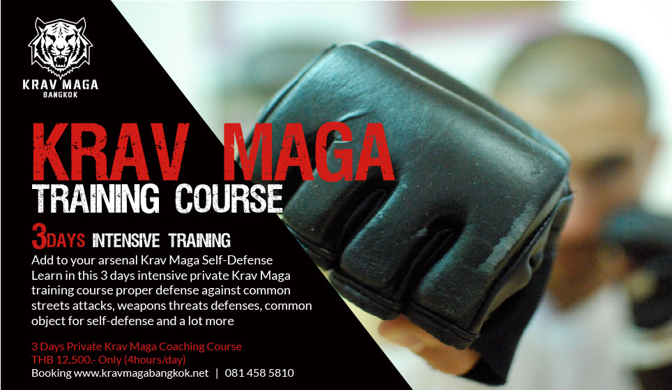 You are currently viewing Intensive Krav Maga Training Course